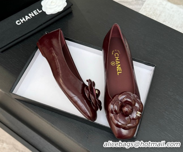Shop Duplicate Chanel Shiny Calfskin Ballet flats with Camellia Bloom Burgundy 2025 G46520