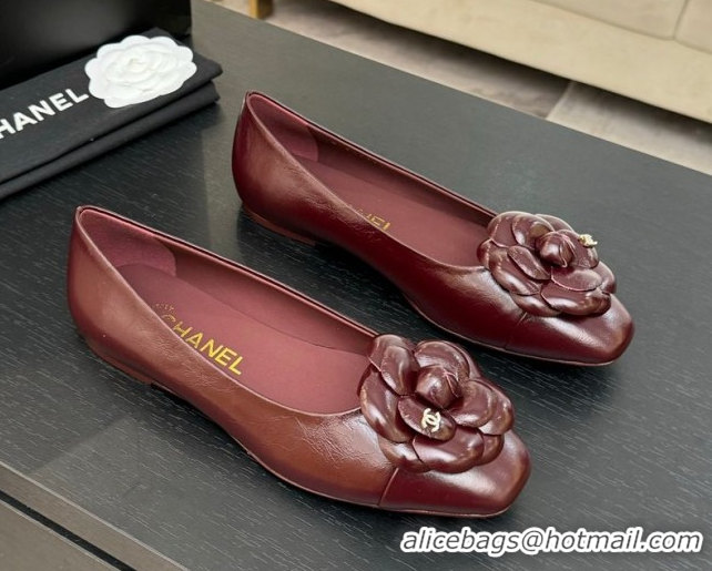 Shop Duplicate Chanel Shiny Calfskin Ballet flats with Camellia Bloom Burgundy 2025 G46520