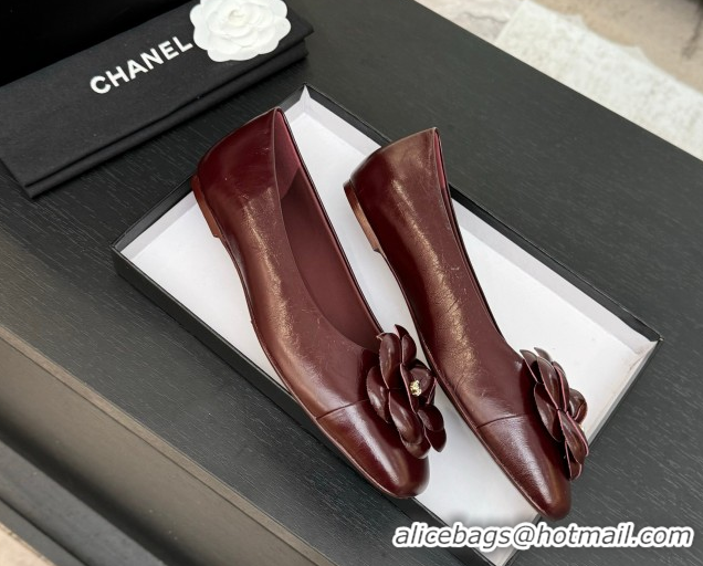 Shop Duplicate Chanel Shiny Calfskin Ballet flats with Camellia Bloom Burgundy 2025 G46520