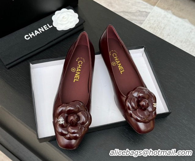 Shop Duplicate Chanel Shiny Calfskin Ballet flats with Camellia Bloom Burgundy 2025 G46520