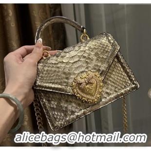Inexpensive Dolce&Gabbana Small Devotion Crossbody Bag in Python Skin with Top Handle D1924 Grey/Gold 2025