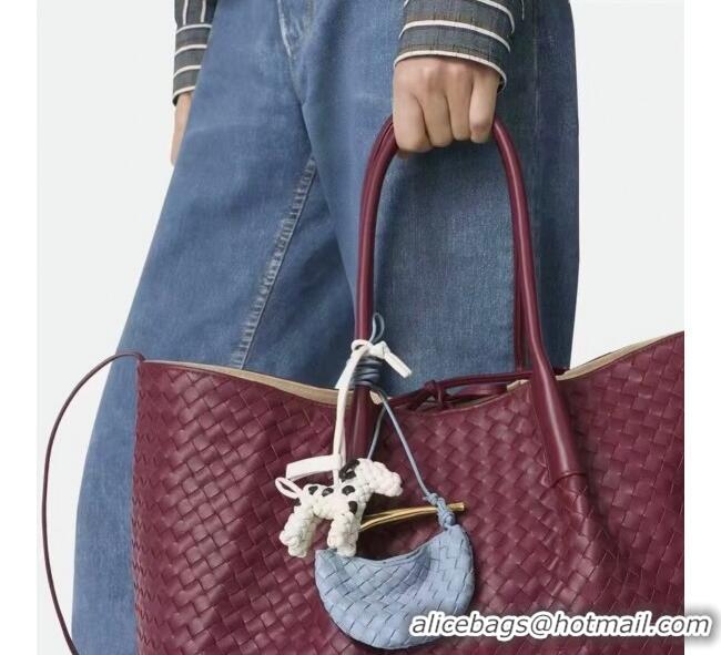 Best Product Bottega Veneta Miniature Sardine Bag in Intrecciato Leather 836834 Ice Blue 2025