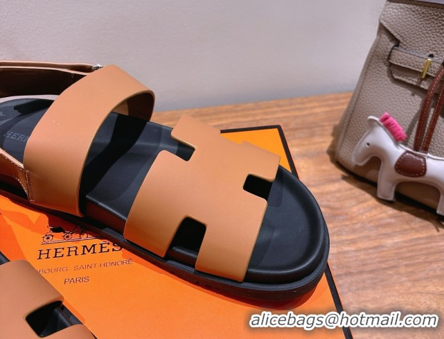 Unique Style Hermes Genius Strap Sandals in Calfskin Leather Brown 2025 H082011 0820169