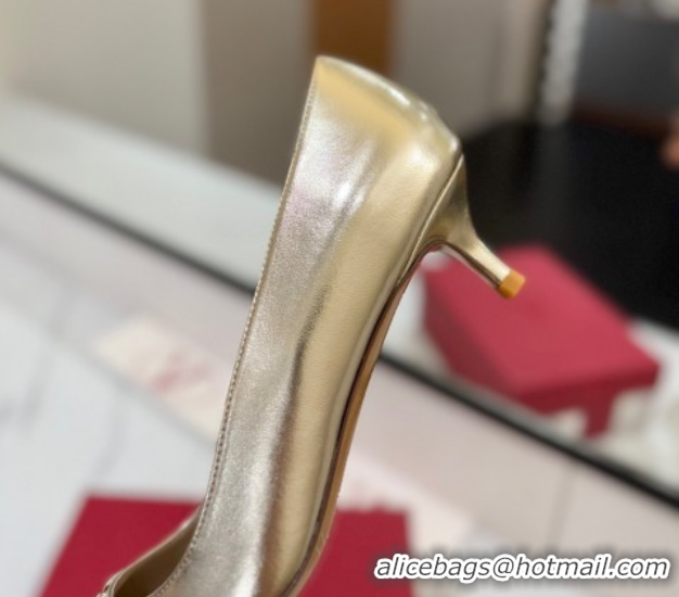 Unique Style Valentino VLogo Signature Pumps 4.5cm in Calfskin Leather and Strass Gold VA082102