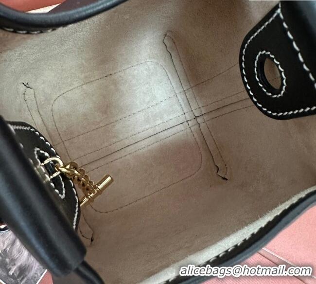 Famous Brand Loro Piana Small Bale Bucket Bag in Smooth Calfskin Leather 0925 Black 2025