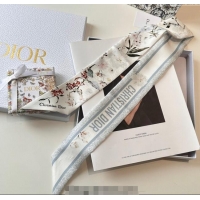 Most Popular Dior Mi...