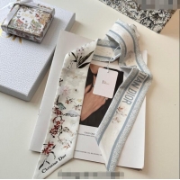 Most Popular Dior Mitzah Millefiori Silk Bandeau Scarf 0724 Grey 2025