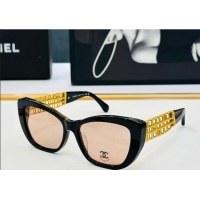 Luxury Discount Chanel Sunglasses CH9169 2025