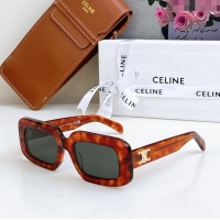 Good Taste Celine Su...