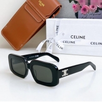 Most Popular Celine ...
