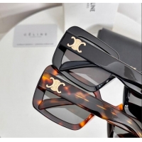 Best Grade Celine Sunglasses CL40304U Brown 2025