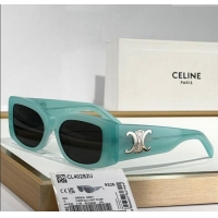 High Quality Celine ...