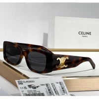 Market Sells Celine ...