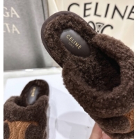 Perfect Celine Georgia Flat Slides Sandal in Shearling Brown 2025 CE082616