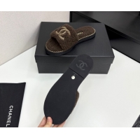 Cheap Chanel Shearling Flat Slides Sandal with Chain Brown 2025 CH090111