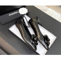 Big Discount Chanel Lambskin Ballet flats with Ankle Strap and Camellia Black 2025 G46520