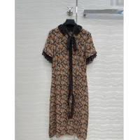 Top Grade Prada Summer Silk Printed Dress PR061214 Brown 2025