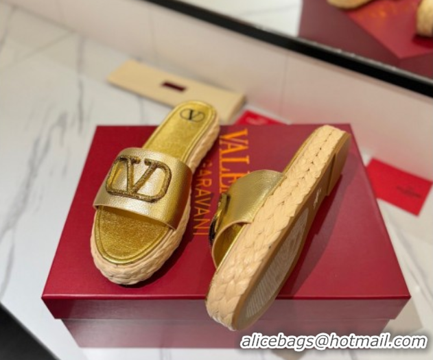 Top Design Valentino VLogo Grainy Calfskin Flat Slides Sandal Gold-Tone 2025 VA082114 0821136