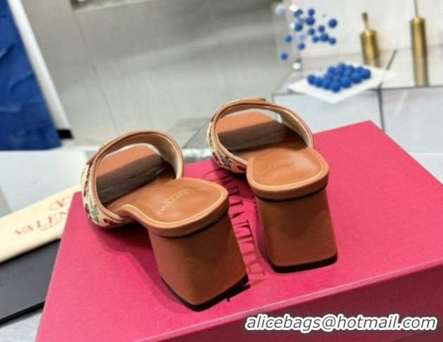 Buy Luxury Valentino Vlogo Signature Cherryfic Heel Slides Sandal 6cm in Jacquard Synthetic Raffia Brown 0902051