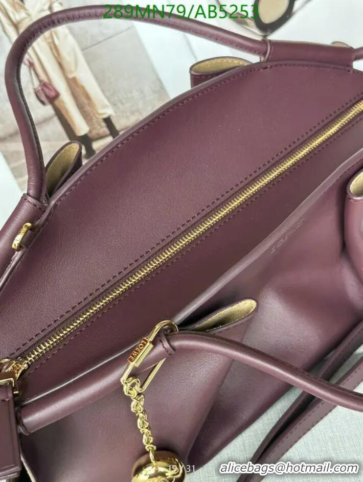 Promotional Loewe Medium Paseo Bag in Shiny Nappa Calfskin 062240 Burgundy