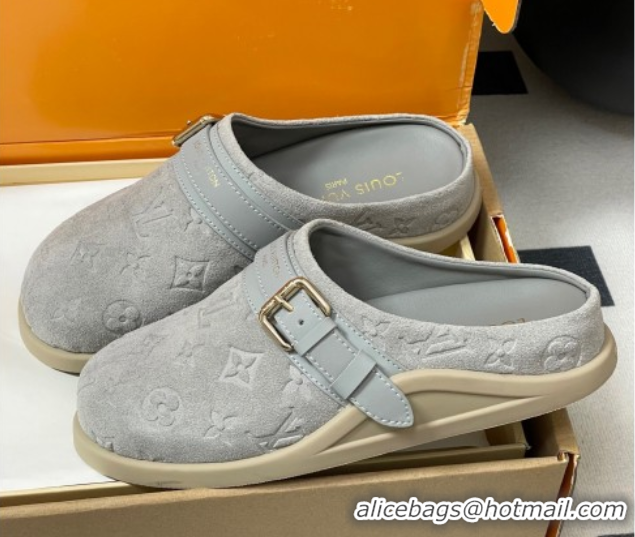 Grade Quality Louis Vuitton LV To-Go Flat Comfort Clog Mules in Suede with Buckle Grey2 2025 1AHLVU 0829087