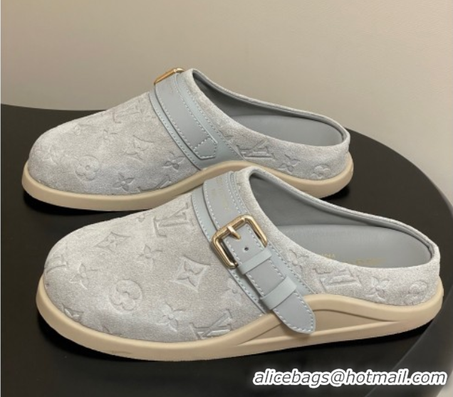 Grade Quality Louis Vuitton LV To-Go Flat Comfort Clog Mules in Suede with Buckle Grey2 2025 1AHLVU 0829087