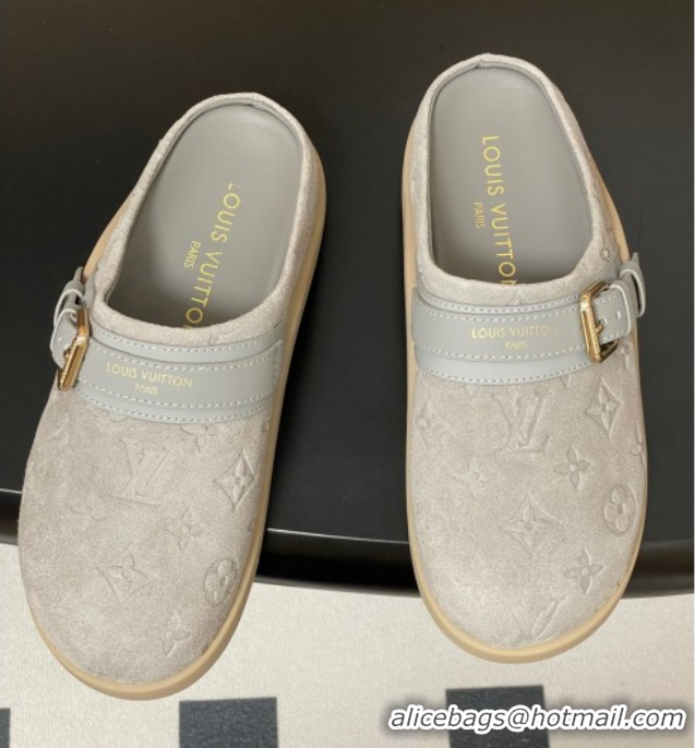 Grade Quality Louis Vuitton LV To-Go Flat Comfort Clog Mules in Suede with Buckle Grey2 2025 1AHLVU 0829087