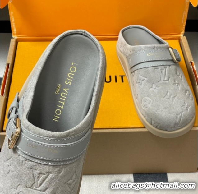 Grade Quality Louis Vuitton LV To-Go Flat Comfort Clog Mules in Suede with Buckle Grey2 2025 1AHLVU 0829087