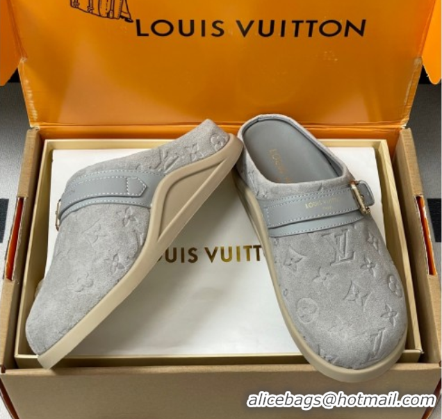 Grade Quality Louis Vuitton LV To-Go Flat Comfort Clog Mules in Suede with Buckle Grey2 2025 1AHLVU 0829087