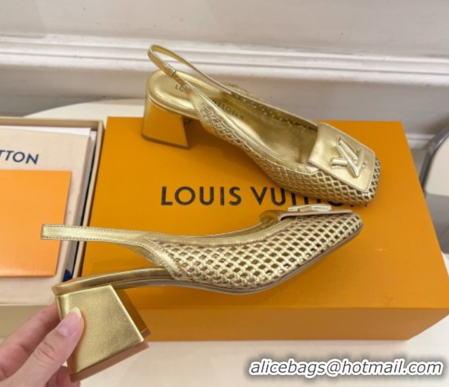 Stylish Louis Vuitton Shake Slingback Pumps 5.5cm in Perforated Metallic Leather 1AD0BX Gold 0829101