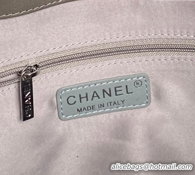 Market Sells Chanel Printed Leather Vintage Airport Shopping Bag A9901 Grey 2025