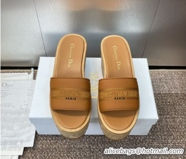 Best Product Dior Dway Platform Wedge Slides Sandal 10cm in Grained Calfskin Brown 0822044