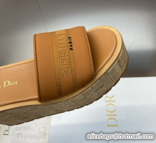 Best Product Dior Dway Platform Wedge Slides Sandal 10cm in Grained Calfskin Brown 0822044