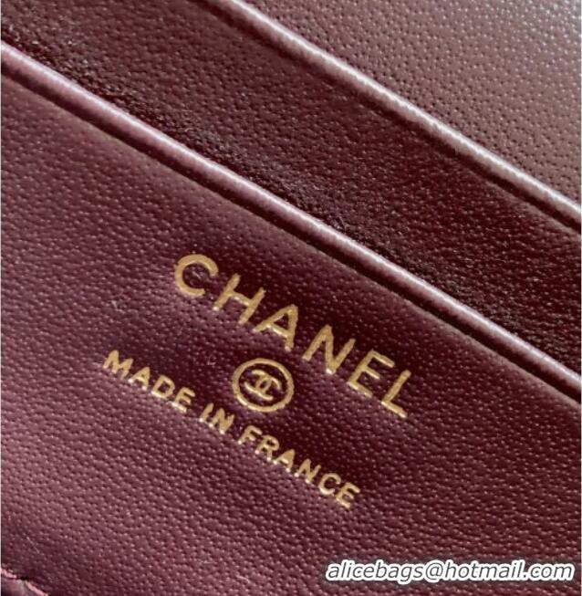 Newly Launched Chanel Grained Shiny Calfskin Vanity Case with Chain and Top Handle AP4936 Dark Brown/Gold 2025