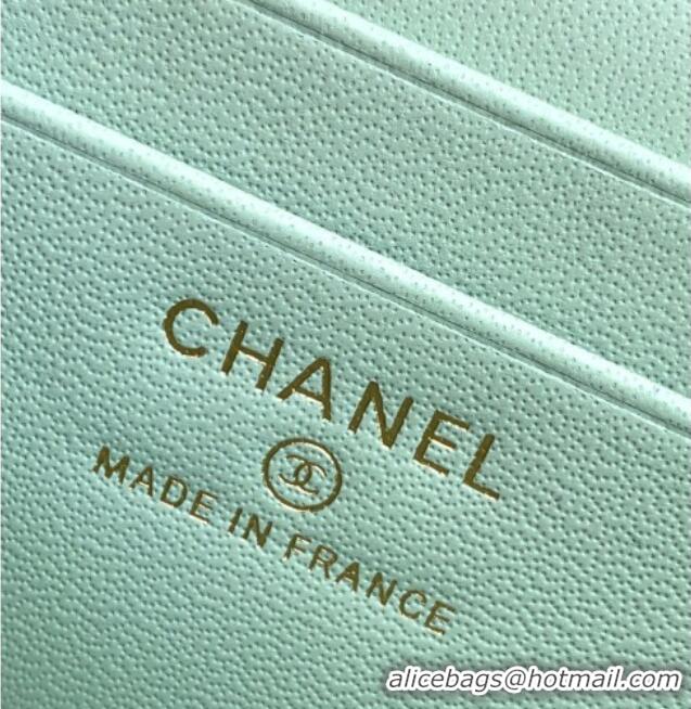 Spot Bulk Chanel Grained Shiny Calfskin Vanity Case with Chain and Top Handle AP4936 Light Green/Gold 2025
