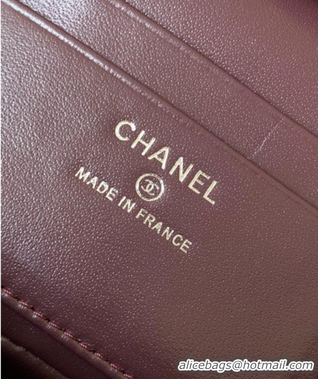 New Stylish Chanel Grained Shiny Calfskin Vanity Case with Chain and Top Handle AP4936 Dark Brown/Silver 2025
