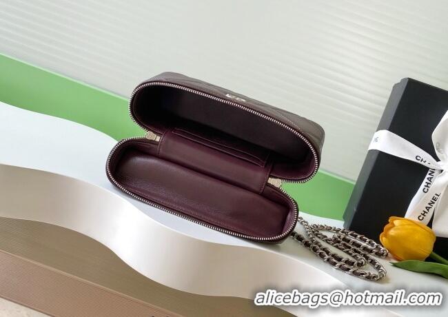 New Stylish Chanel Grained Shiny Calfskin Vanity Case with Chain and Top Handle AP4936 Dark Brown/Silver 2025