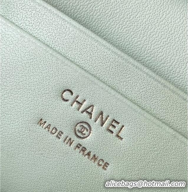 Inexpensive Chanel Grained Shiny Calfskin Vanity Case with Chain and Top Handle AP4936 Light Green/Silver 2025