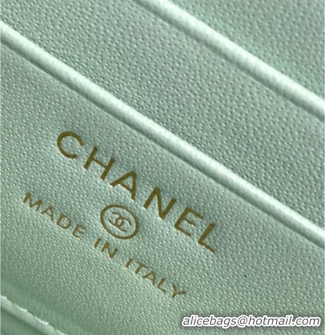 Top Quality Chanel Grained Shiny Calfskin Long Vanity with Chain and Top Handle AP4933 Light Green 2025