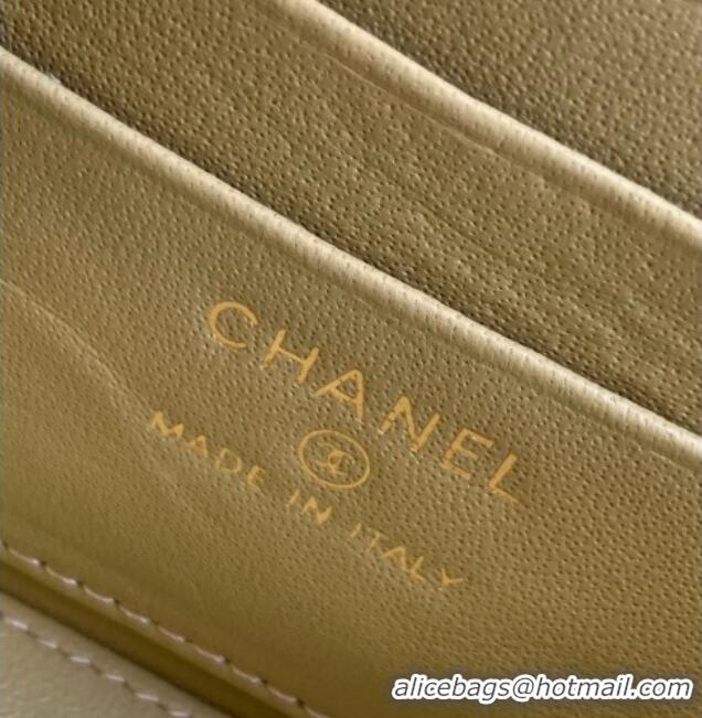 New Release Creation Chanel Grained Shiny Calfskin Long Vanity with Chain and Top Handle AP4933 Yellow Green 2025