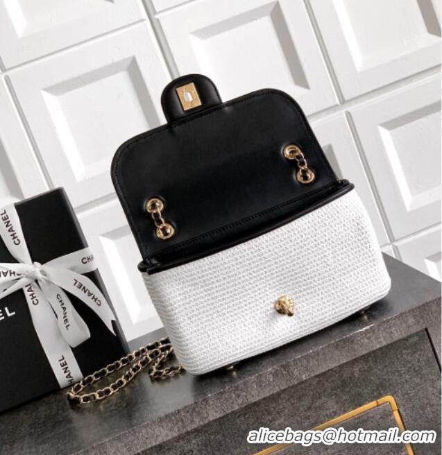 Market Sells Chanel Raffia Straw and Calfskin Small Flap Bag AS5929 White/Black 2025