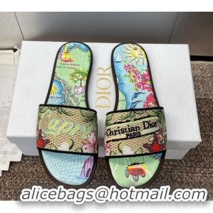 Classic Hot Dior Dway Flat Slides Sandal in Straw and Embroidered Cotton Green/Blue DR082204 50822086