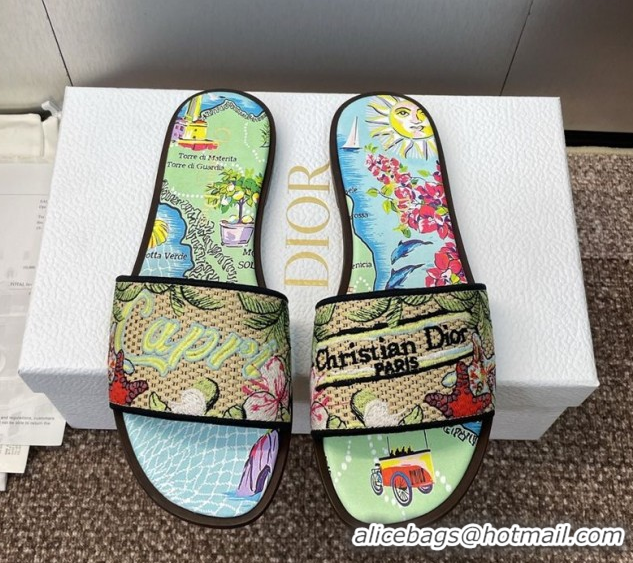 Classic Hot Dior Dway Flat Slides Sandal in Straw and Embroidered Cotton Green/Blue DR082204 50822086