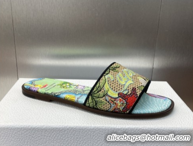 Classic Hot Dior Dway Flat Slides Sandal in Straw and Embroidered Cotton Green/Blue DR082204 50822086