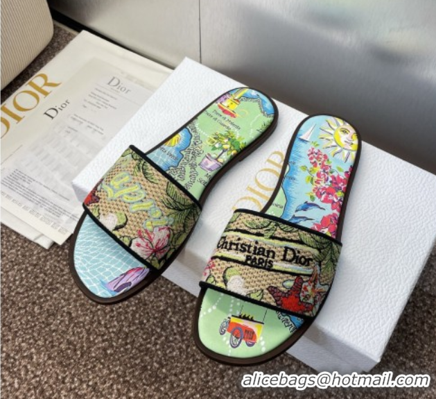 Classic Hot Dior Dway Flat Slides Sandal in Straw and Embroidered Cotton Green/Blue DR082204 50822086