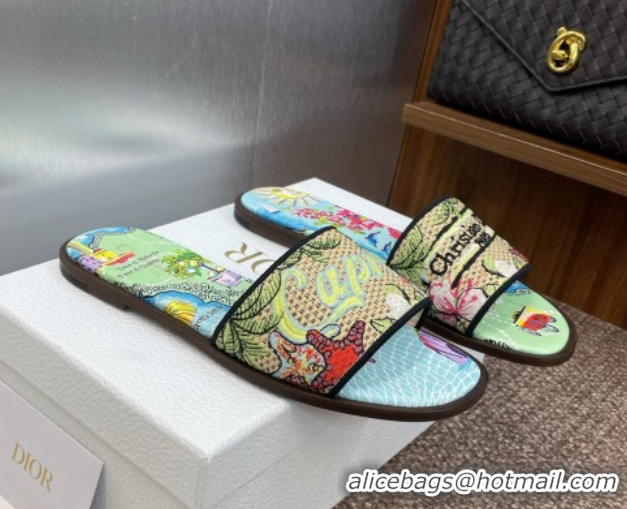 Classic Hot Dior Dway Flat Slides Sandal in Straw and Embroidered Cotton Green/Blue DR082204 50822086