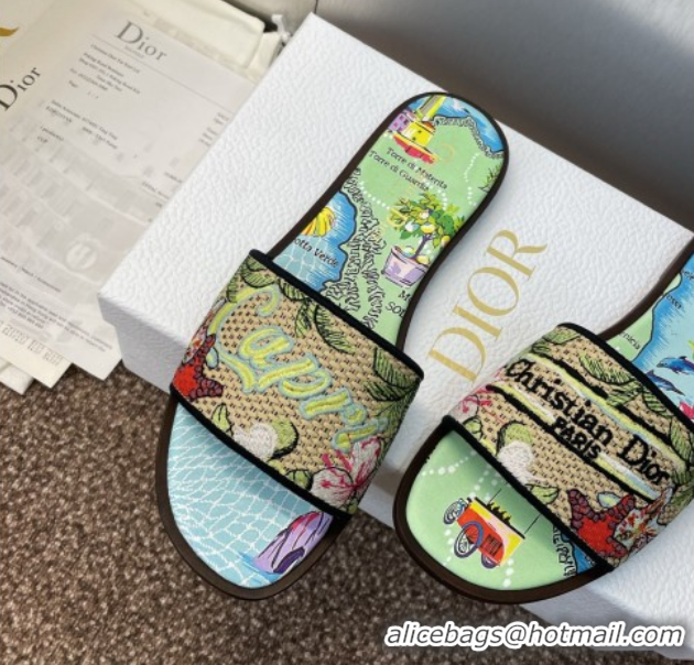 Classic Hot Dior Dway Flat Slides Sandal in Straw and Embroidered Cotton Green/Blue DR082204 50822086