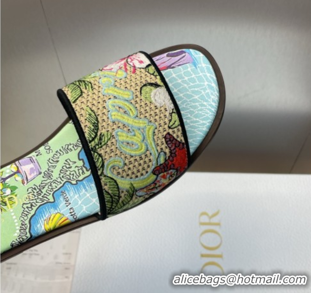 Classic Hot Dior Dway Flat Slides Sandal in Straw and Embroidered Cotton Green/Blue DR082204 50822086
