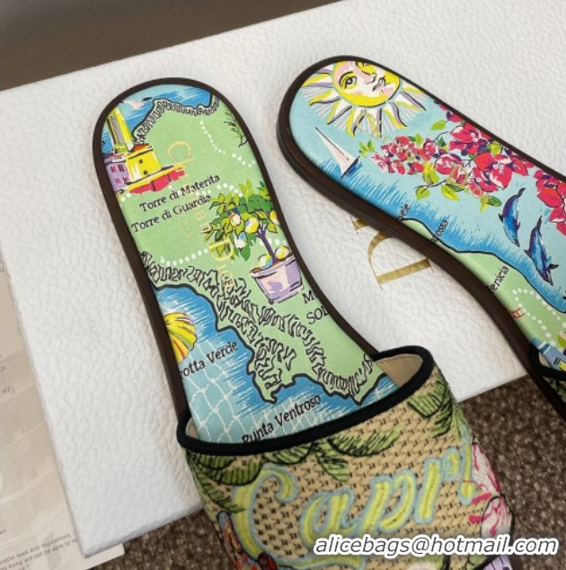 Classic Hot Dior Dway Flat Slides Sandal in Straw and Embroidered Cotton Green/Blue DR082204 50822086