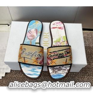 Good Quality Dior Dway Flat Slides Sandal in Straw and Embroidered Cotton Blue/White DR082204 0822087